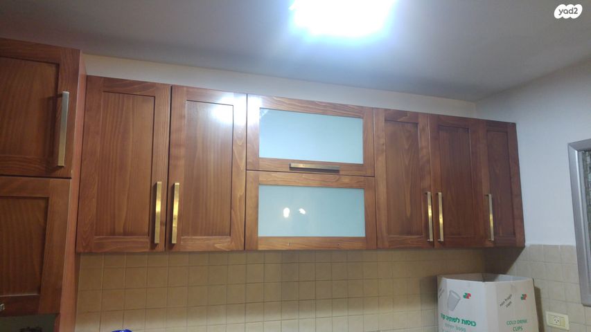 השר בכור שטרית 11