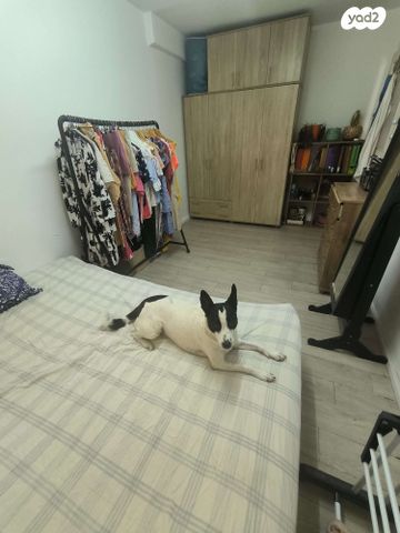 דירה, זלמן שניאור 24, רמות רמז, חיפה