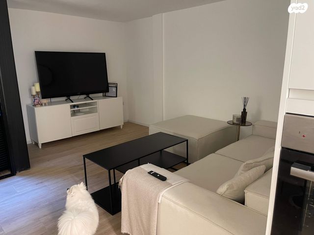 מרתף/ פרטר, עונות השנה 21, וואלי, העמק, נס ציונה