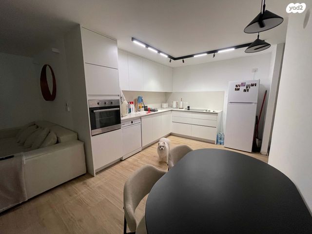 מרתף/ פרטר, עונות השנה 21, וואלי, העמק, נס ציונה