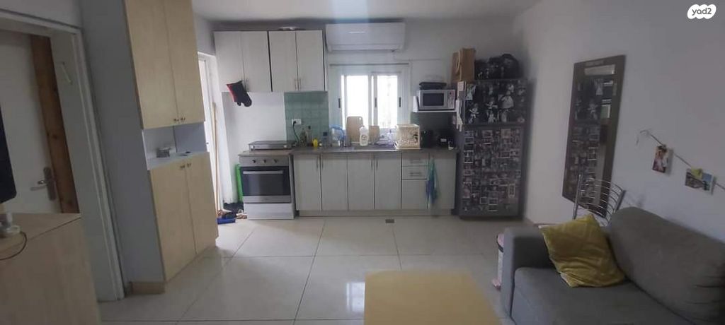 מאיר גרונולד 2