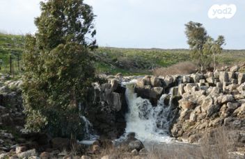 יחידת דיור, משעול היושבת בגנים 1, נוב, נוב
