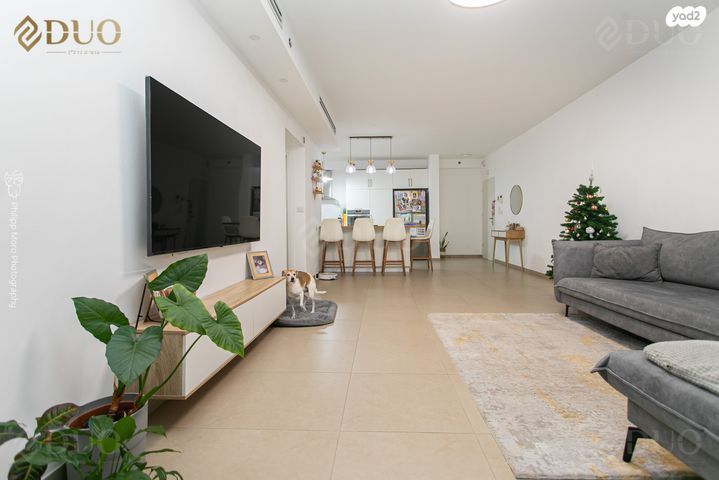 דירה, האנפה 18, החותרים, טירת כרמל