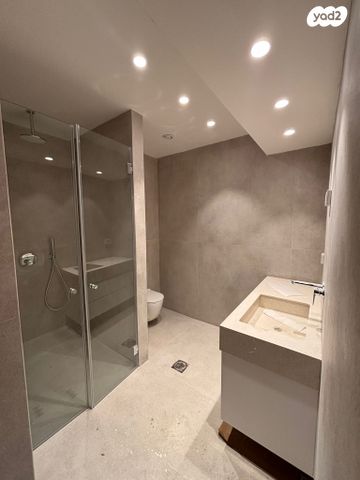 גג/ פנטהאוז, השקד, רמת אילן, גבעת שמואל