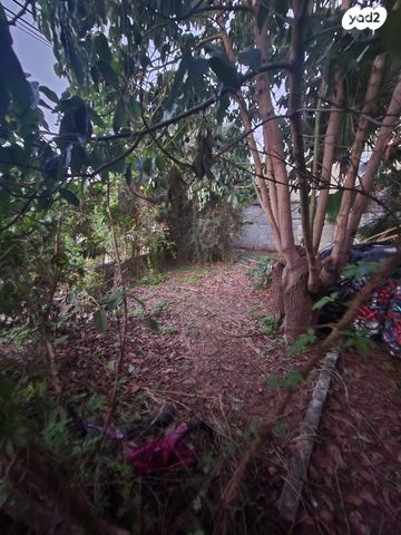 דירה, הפלמ"ח, עמידר, בת ים