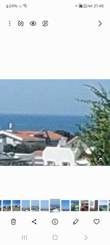 וייצמן 