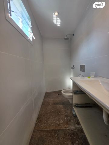 זלמן שניאור 