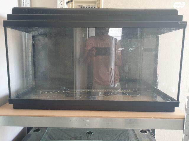 תמונת מודעה - חיות מחמד