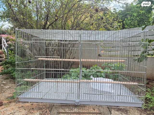 תמונת מודעה - חיות מחמד