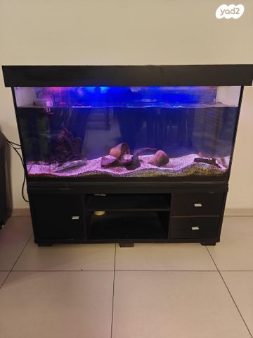 תמונת מודעה - חיות מחמד