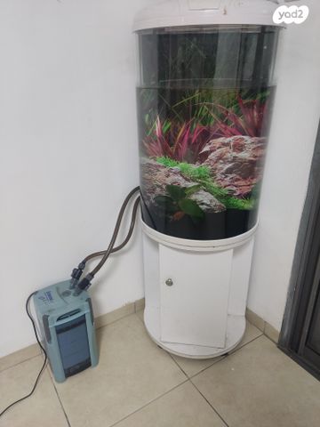 תמונת מודעה - חיות מחמד