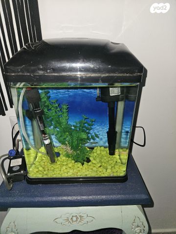 תמונת מודעה - חיות מחמד