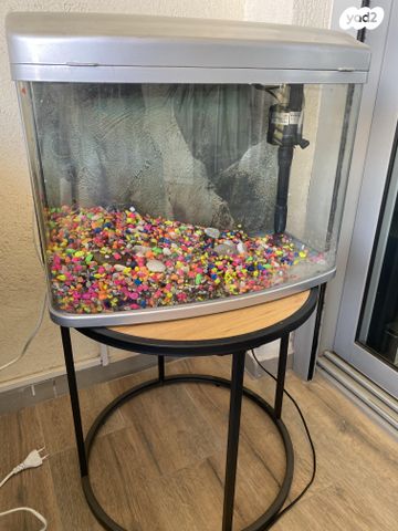 תמונת מודעה - חיות מחמד