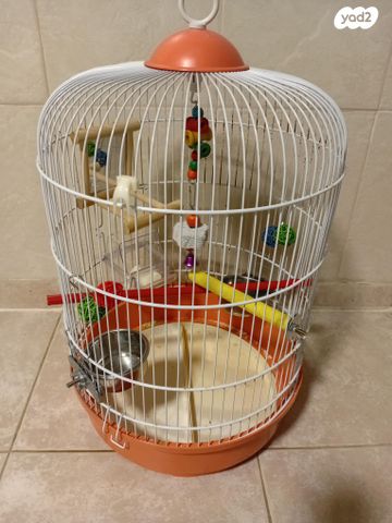 תמונת מודעה - חיות מחמד