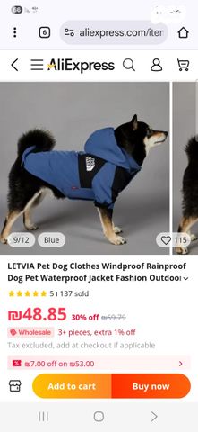 תמונת מודעה - חיות מחמד