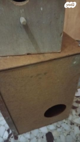 תמונת מודעה - חיות מחמד