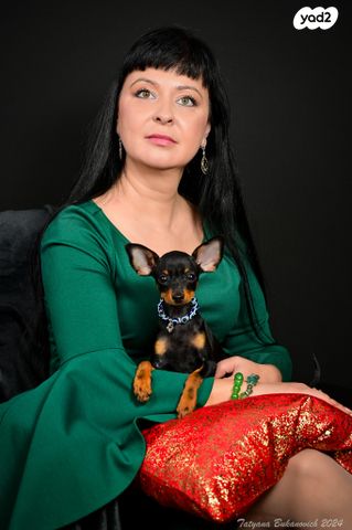 כלב טוי רוסי