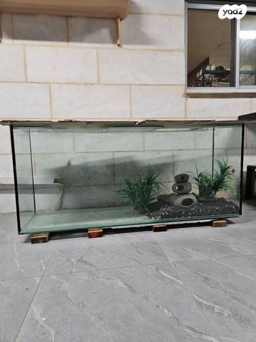 אביזרים | אקווריום