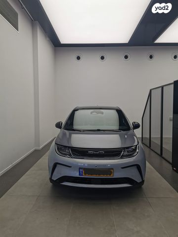 מודעת רכב בי.ווי.די דולפין