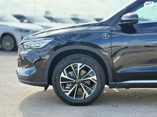 בי.ווי.די סי ליון 05