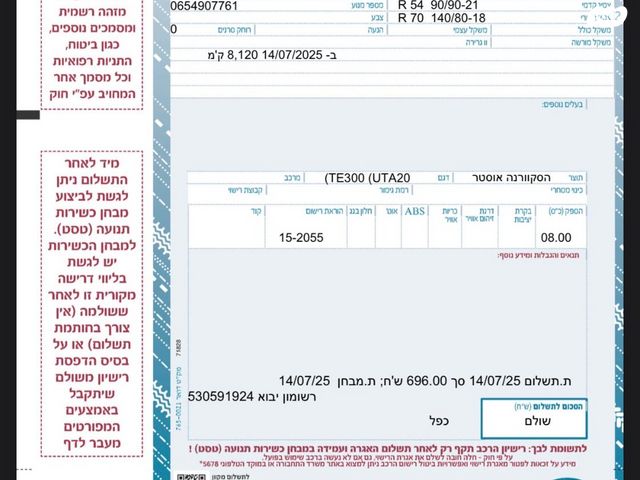 הוסקוורנה TE300