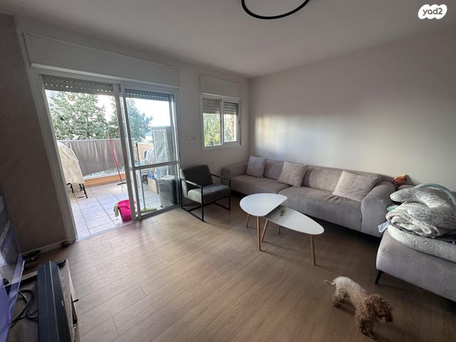 הר הצופים 29