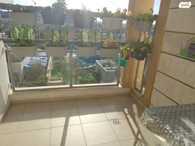 הר הצופים 29