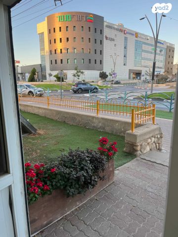 דירה, המעפיל 1007, הנצחון, דימונה