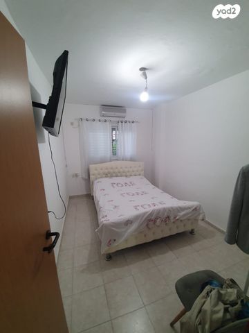 דוד רזיאל 13