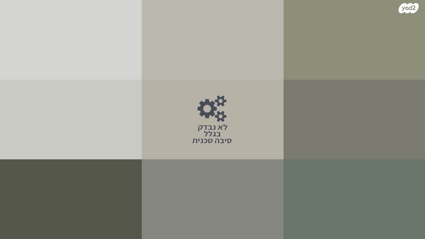 דוד אלעזר 12