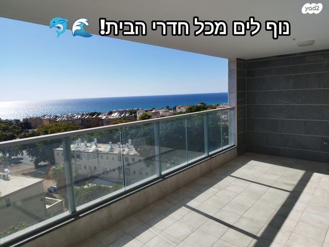 דירה, המלך אמציהו 3, נווה דוד, חיפה