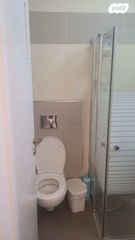 גג/ פנטהאוז, האורן 18, צמח השדה, מעלה אדומים