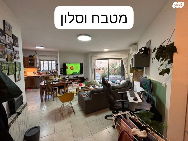 משה חובב 4
