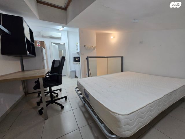 אריה לובה אליאב 18