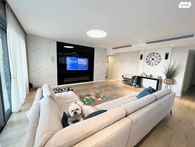 בני בנימין 43