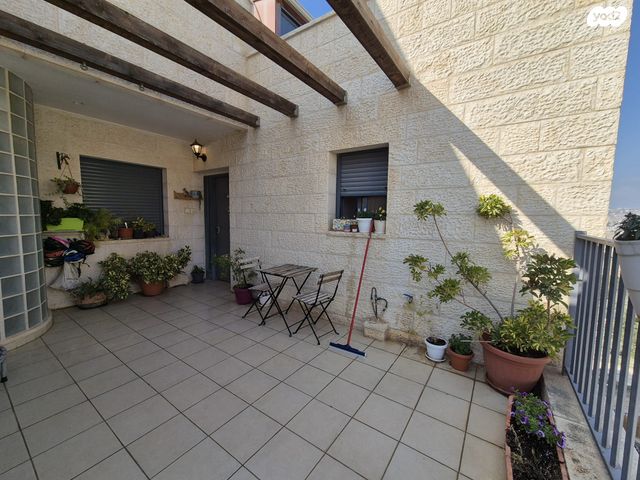 תכלת מרדכי 1