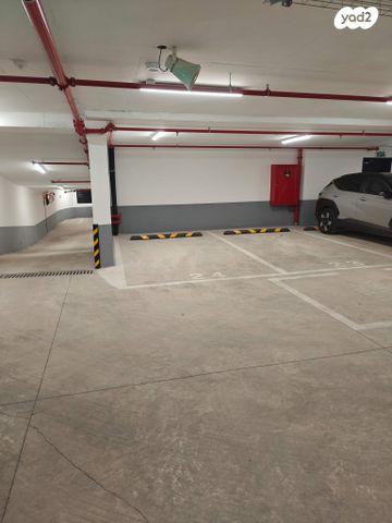 לוי אשכול 24