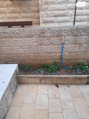 יחזקאל קוטשר 50