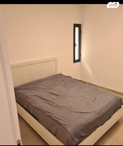 מאיר פיינשטיין 2