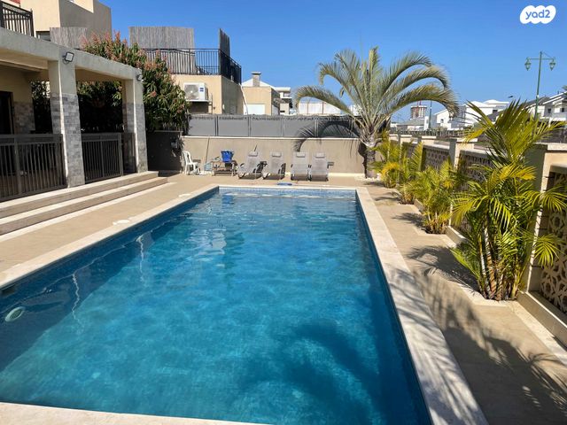 בלה וקסנר 19