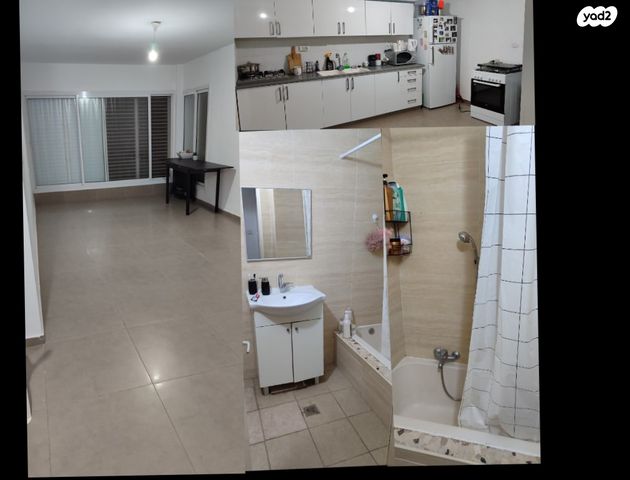 זלמן שז"ר 218