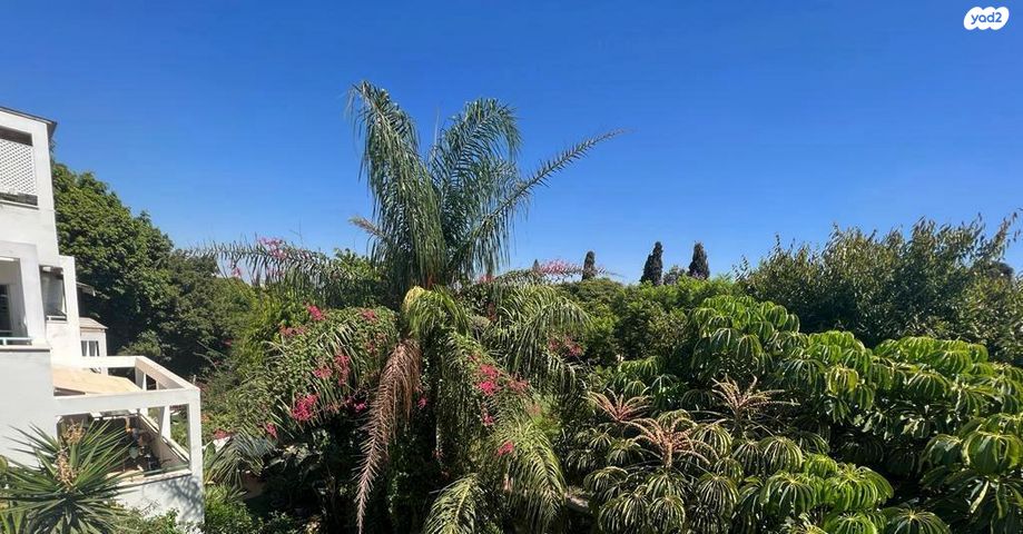 דירה, ברקן 16, סביוני הכפר, כפר סבא