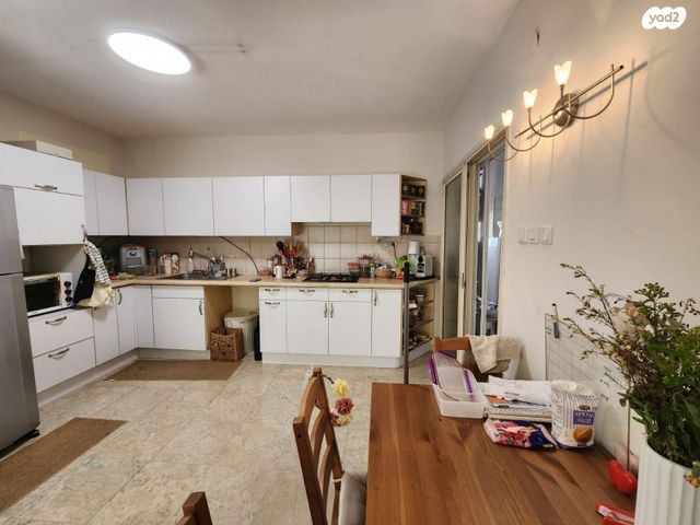 דוד אבידן 13