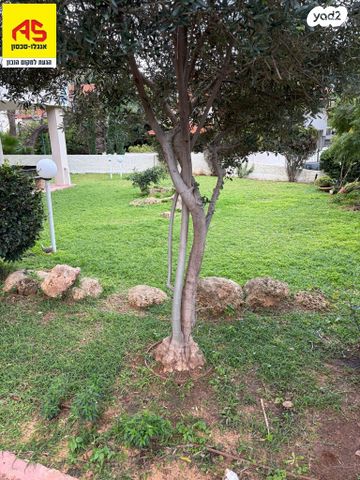 דירה, ארלוזורוב, הרצליה הצעירה, הרצליה