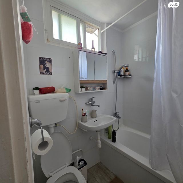 דירה, עין גדי, ג'סי כהן, חולון