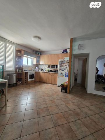 מנדלי מוכר ספרים 