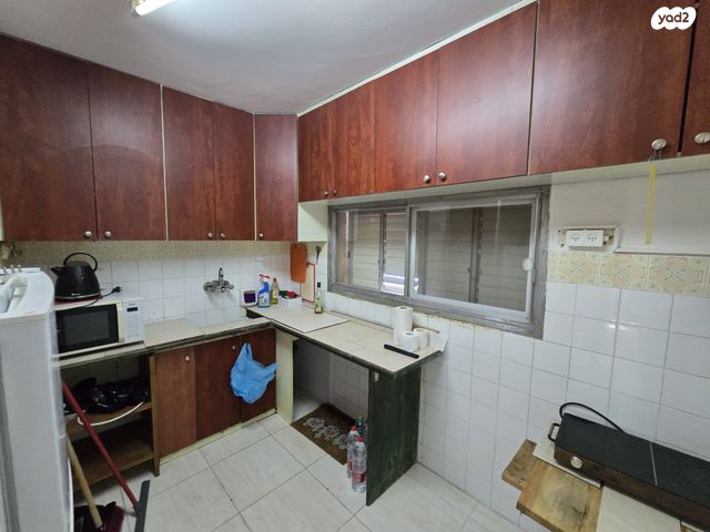 אלעזר בן יאיר 