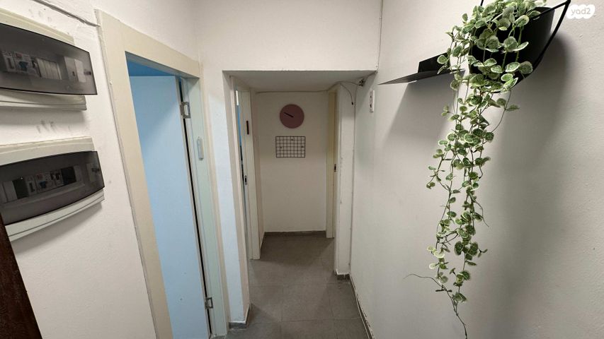 דירה, דוד וולפסון, מרכז אזרחי, באר שבע