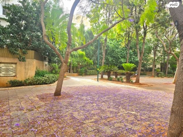 דירה, הדר המושבות הותיקה / אם המושבות הותיקה, פתח תקווה