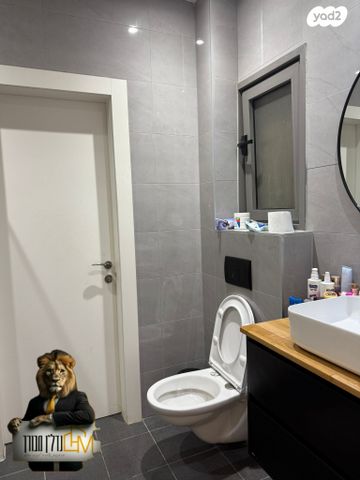 דירה, אריאל שרון, נווה שרון / שער העיר, נתיבות